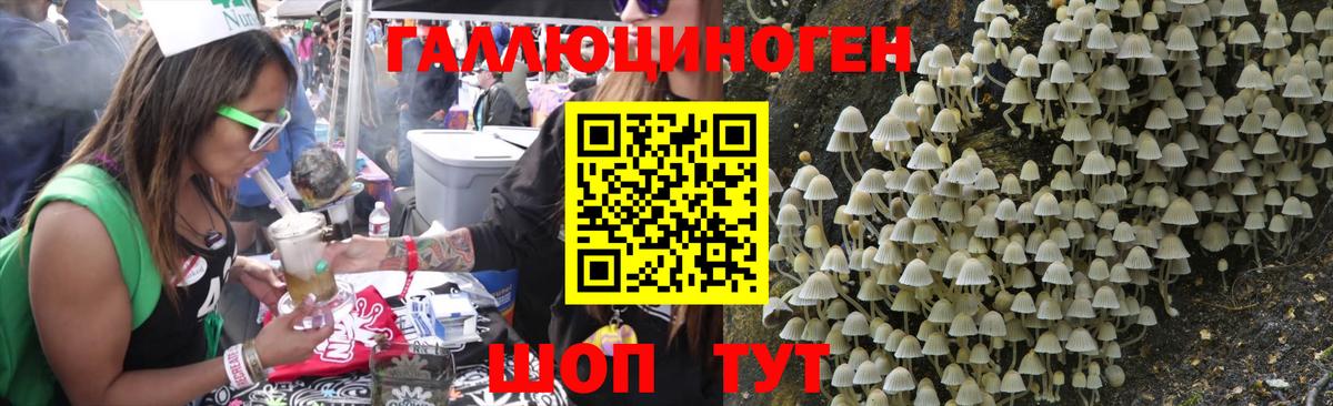Галлюциногенные грибы Psilocybine cubensis Вичуга